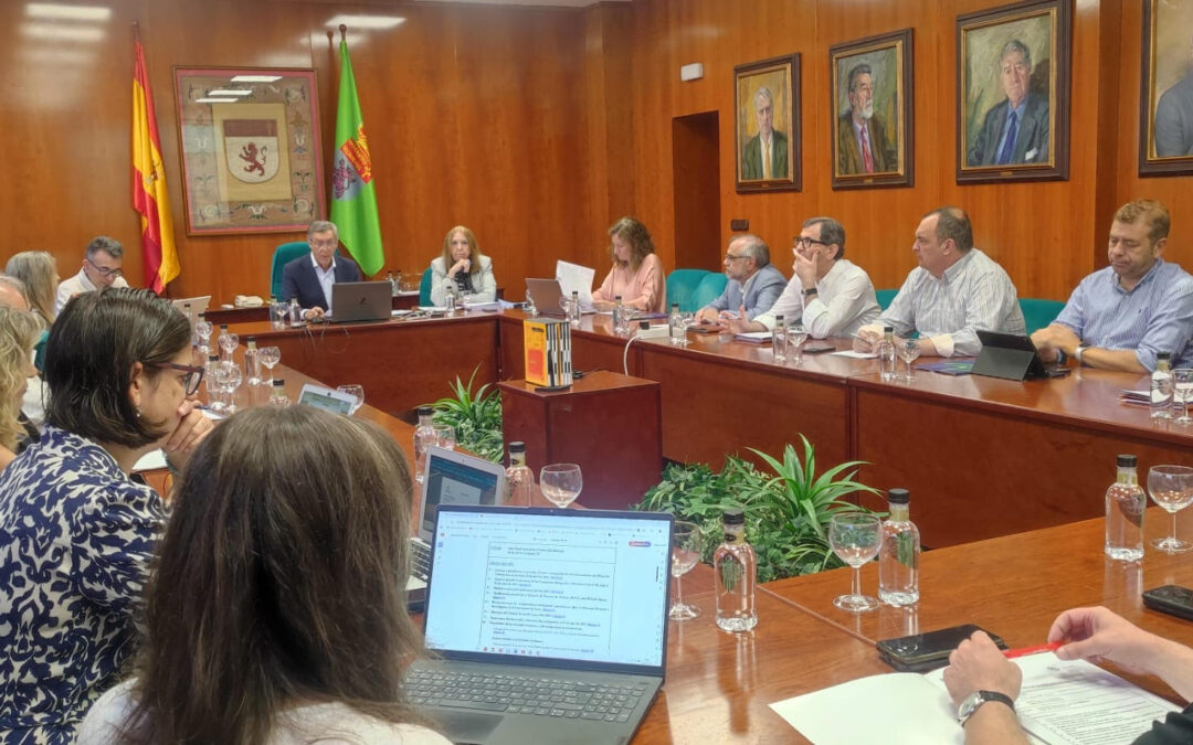 Pleno 24 de julio de 2025