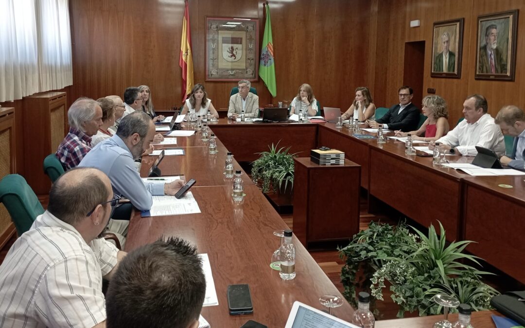 Pleno 23 de julio de 2026